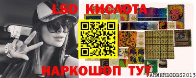 spice Обнинск