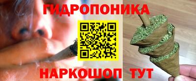 шишки Нягань