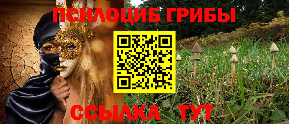 Галлюциногенные грибы прущие грибы Симферополь